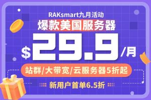 RAKsmart国外VPS活动